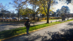 Turfwarz Toronto Landscaping 3 300x169